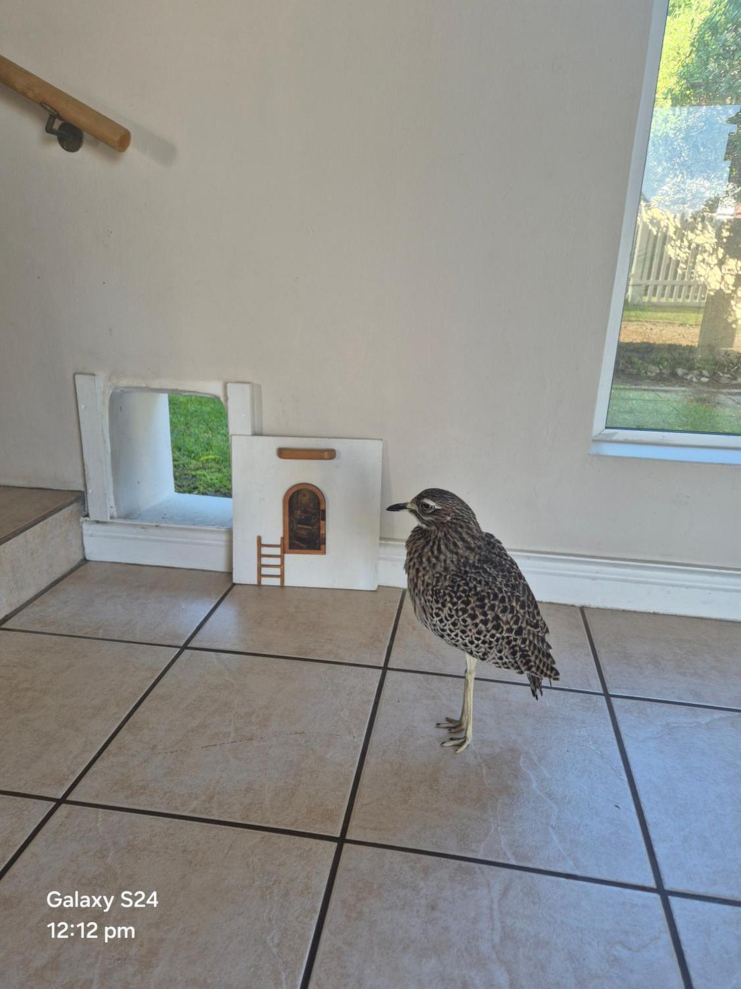 , Sandbaai House Holiday home